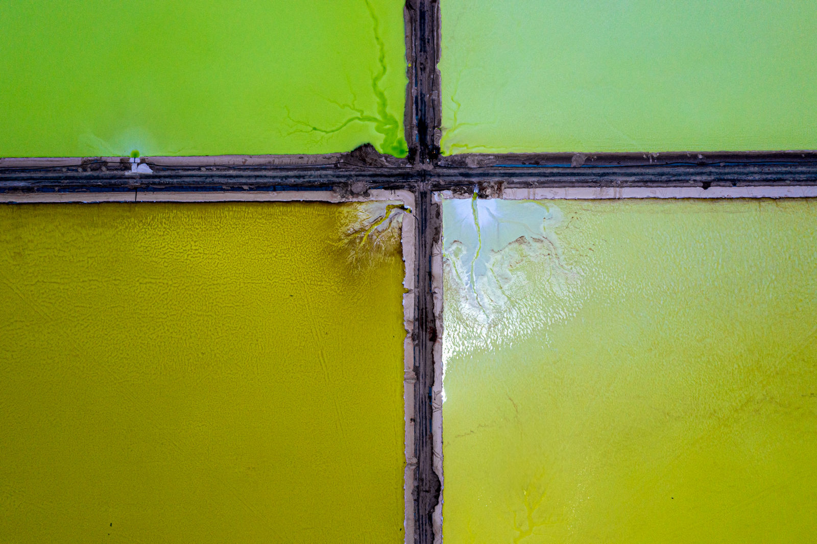 Matjaž Krivic, Chile 02, 2022