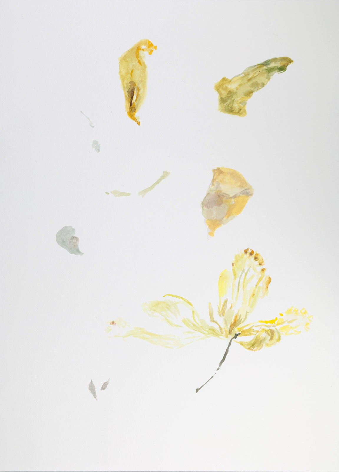 Luzia Simons, O.T. 28, 2024