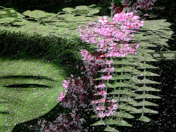 Metka Vergnion, Spomin na pomlad / Memories of Spring, 2007