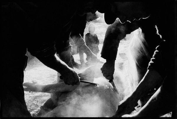 Stojan Kerbler, Knives, 1978