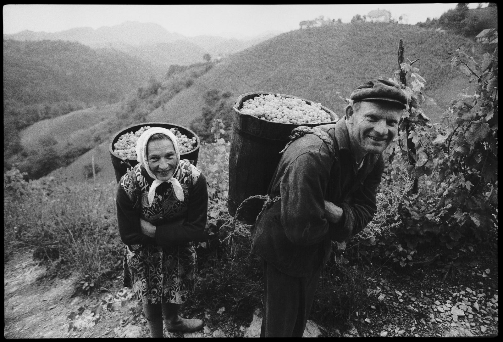 Stojan Kerbler, Trgatev / Grape Harvest, 1973