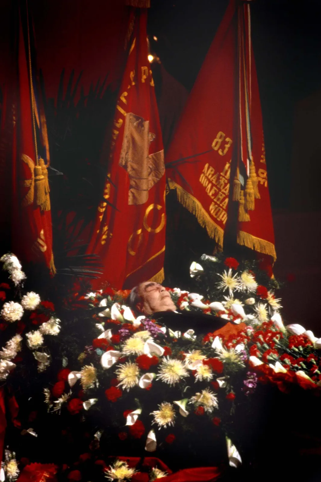 Jadran Lazić, Leonid Breznjev, Funeral, 1982