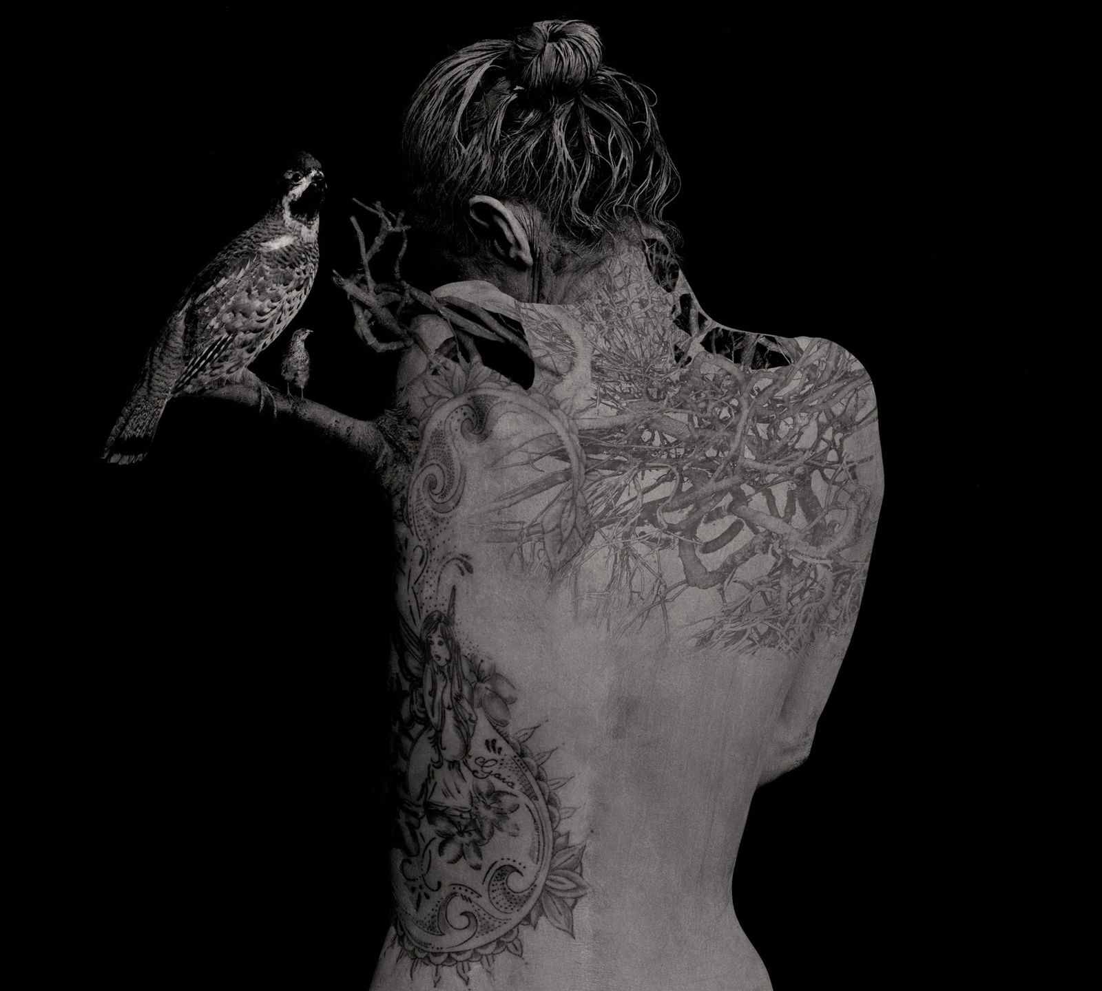 Roberto Kusterle, Growth, 2012