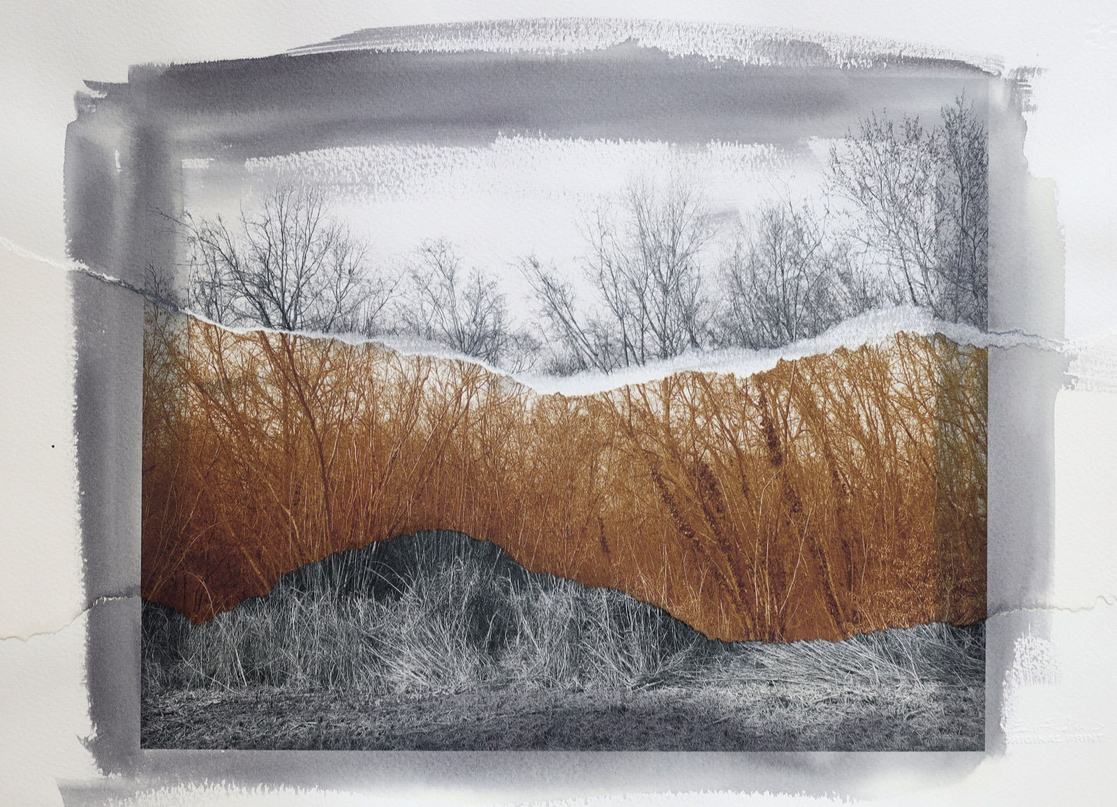 Euro Rotelli, Ri-creatio #6, 2021