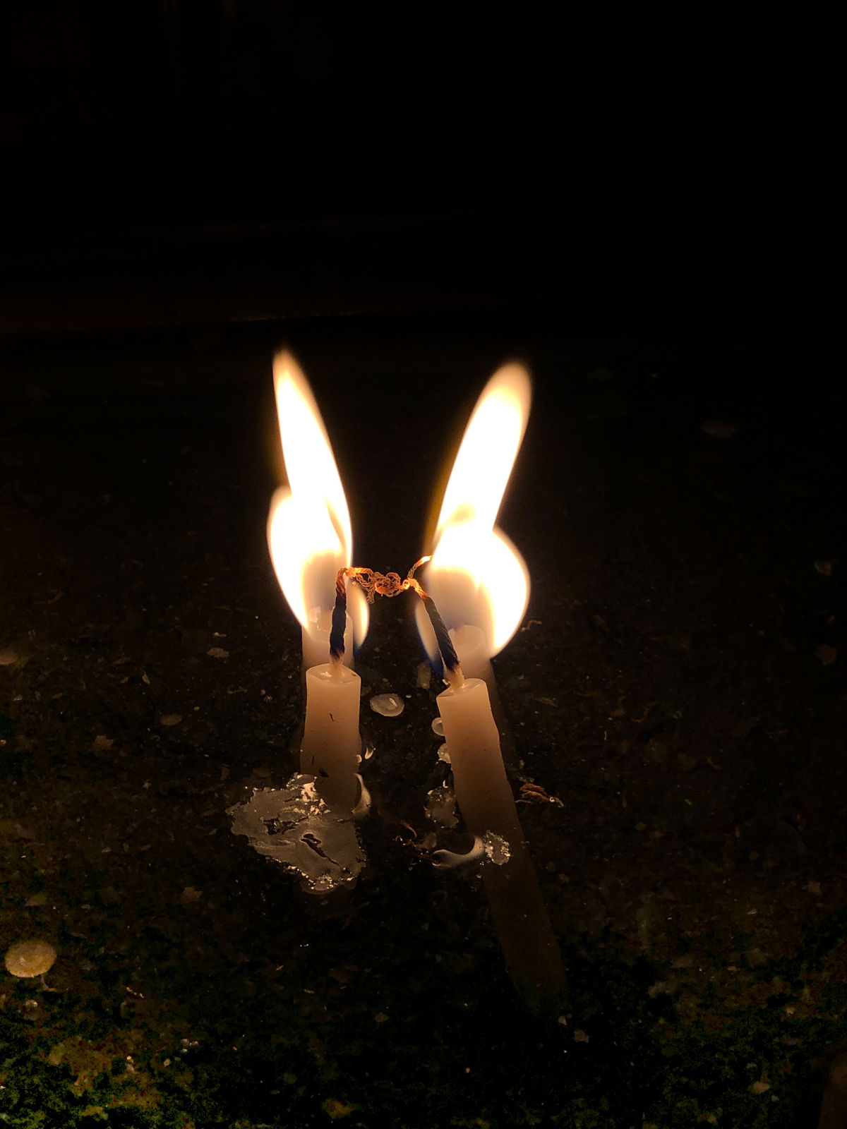 Lara Ögel, Butterfly, 2021