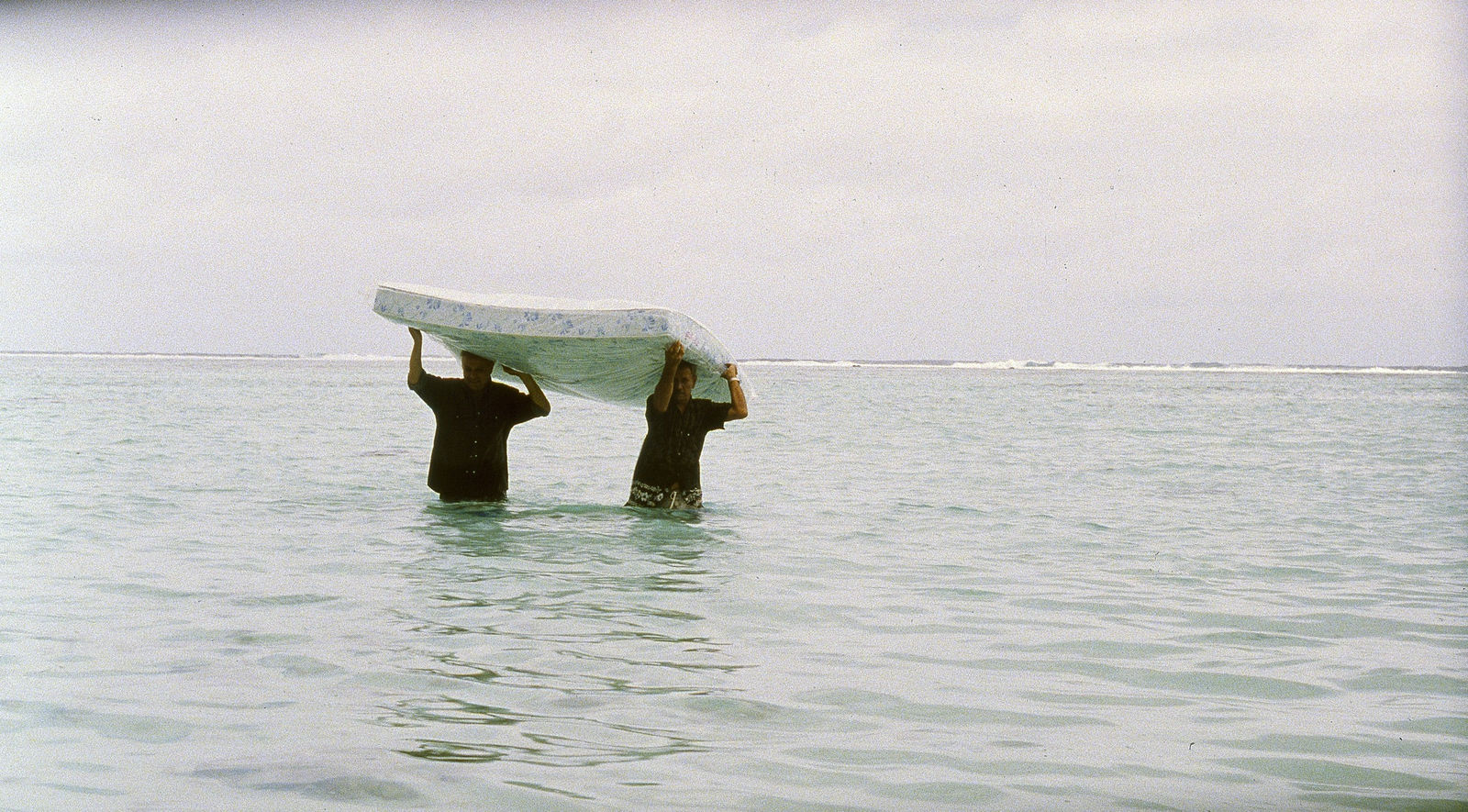 Claire Denis, L'Intrus, 2005