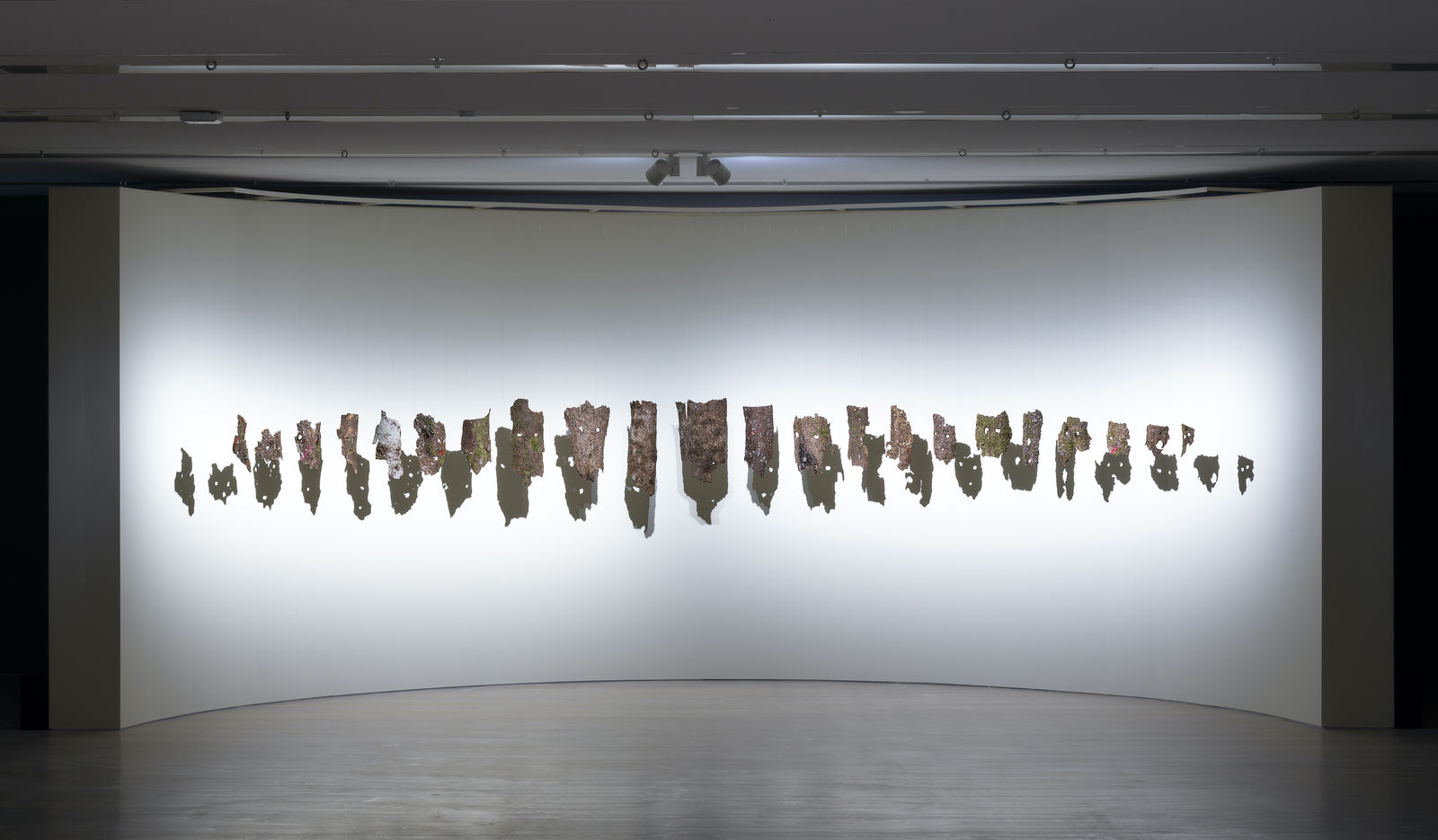 Hera Büyüktaşcıyan, Dendrologia, 2023