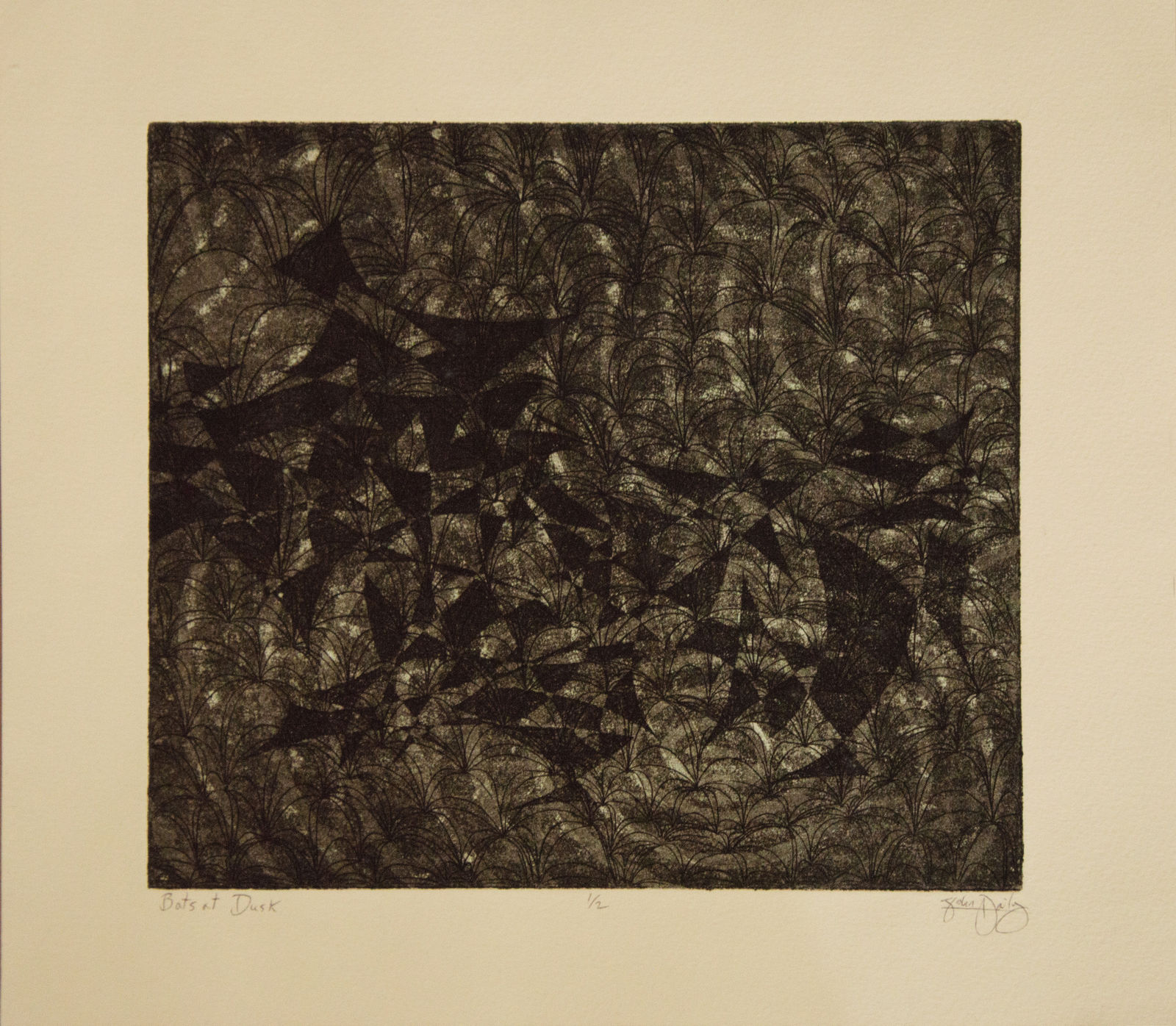 Johnathan Daily / E, Bats at Dusk