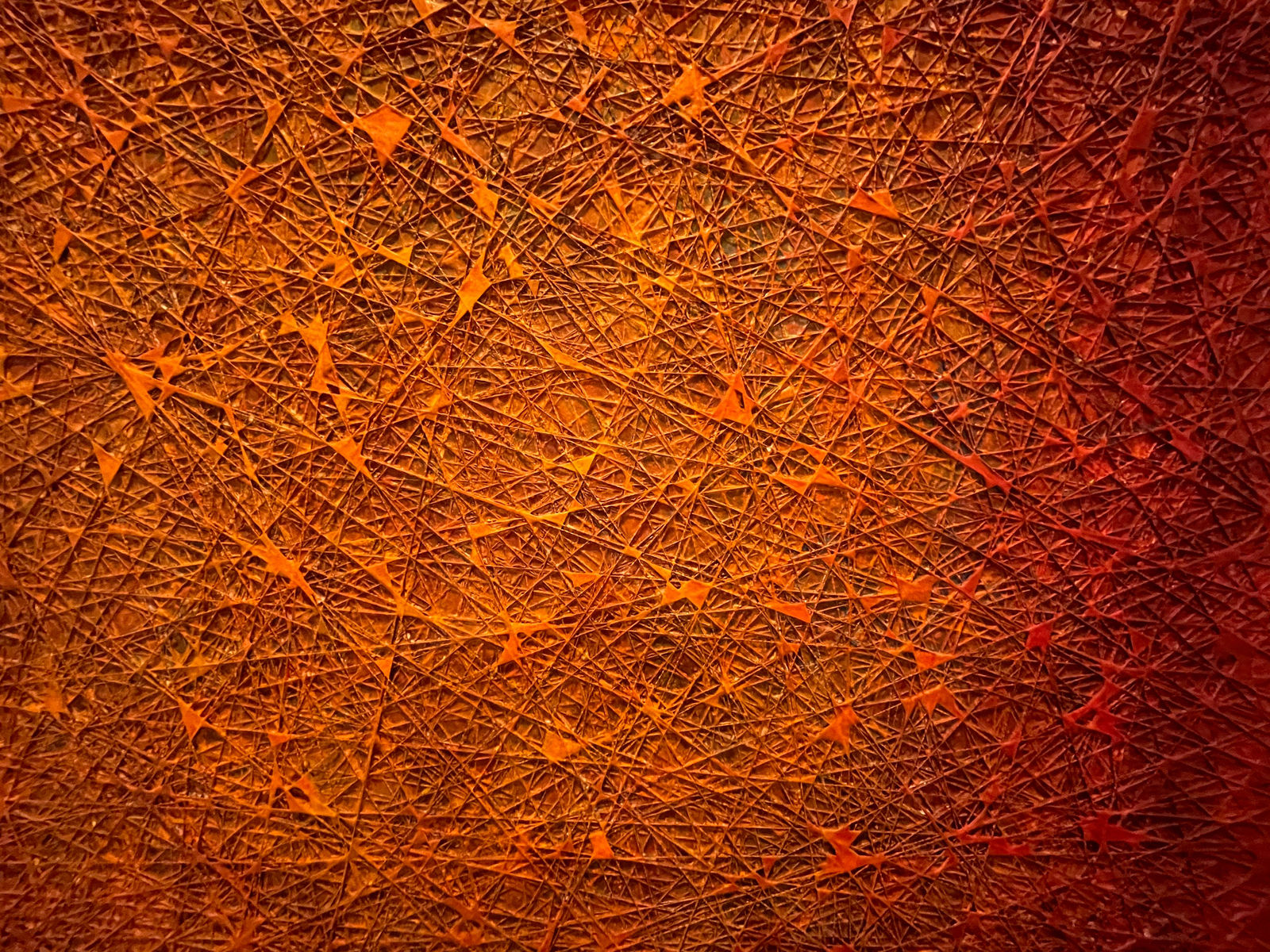 David Eisenhauer, Ursa Major