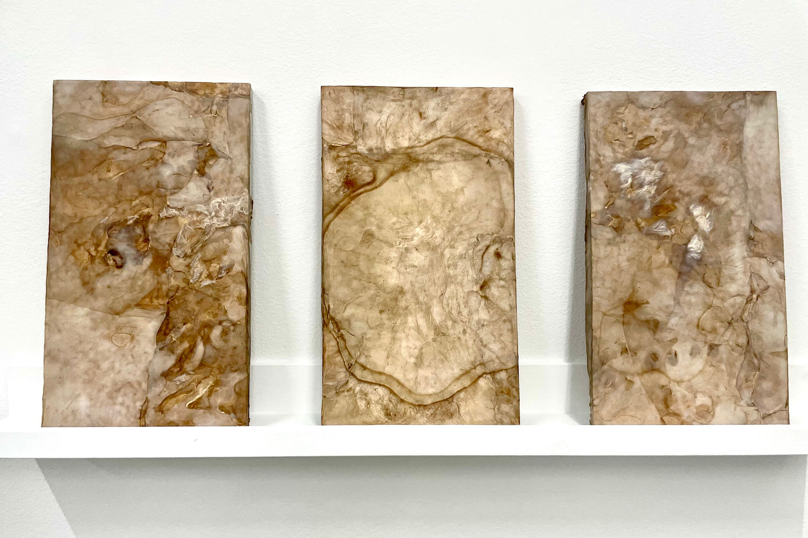 Anna-Ting Möller, Untitled #2, 2021