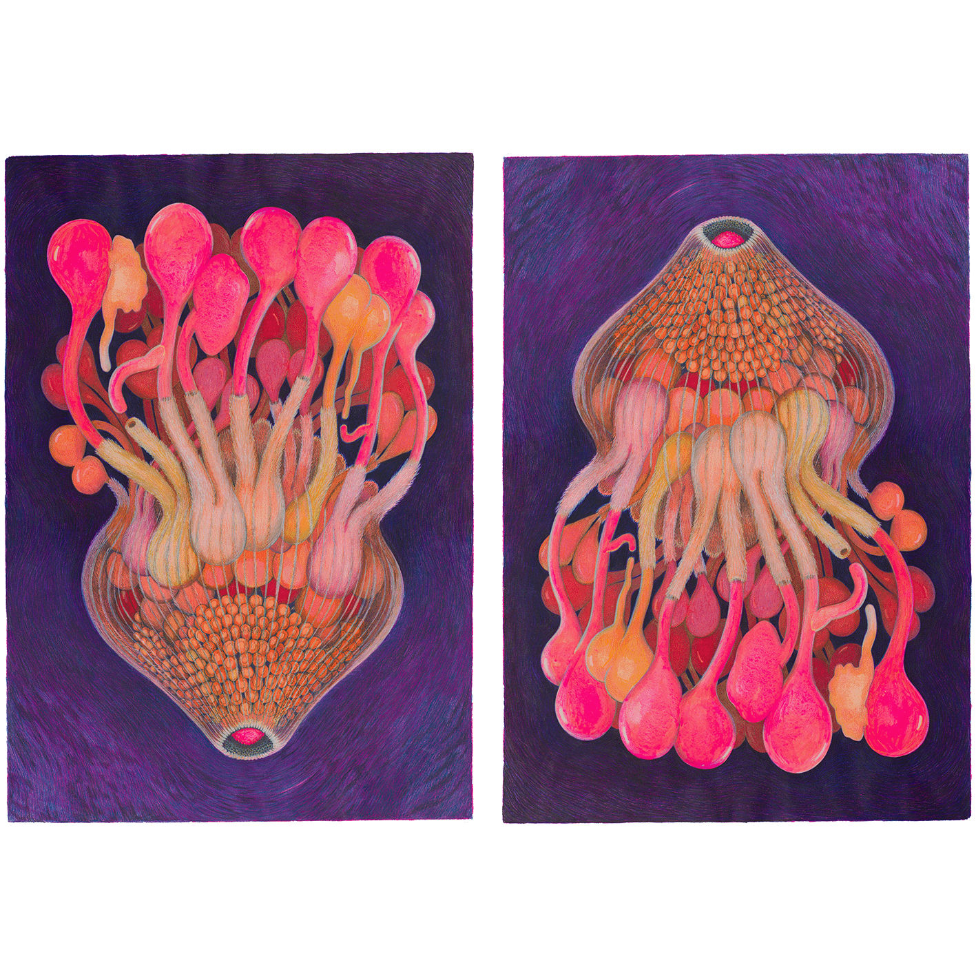 Fanny Senocq, Kollektiv process / Kluster av luster, 2022