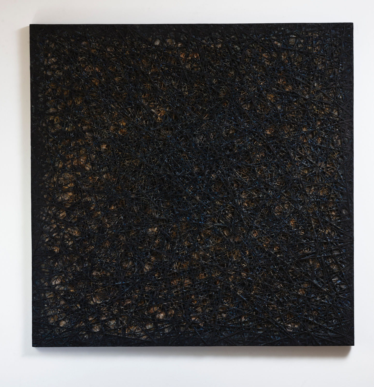 David Eisenhauer, Centaurus