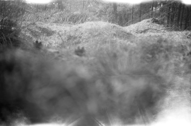 Annika Thörn Legzdins, Hagestad XII, 2015