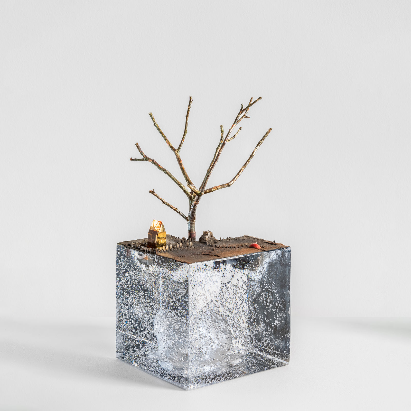 BERTIL VALLIEN, FRAGILE CRUST, 2024