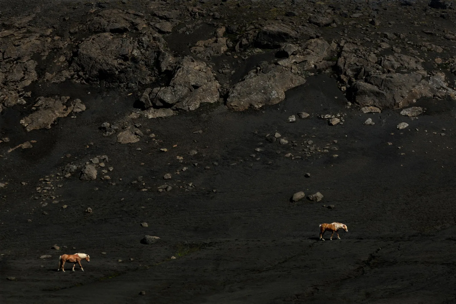 Susanne Walström, FJALLABAK, 2024