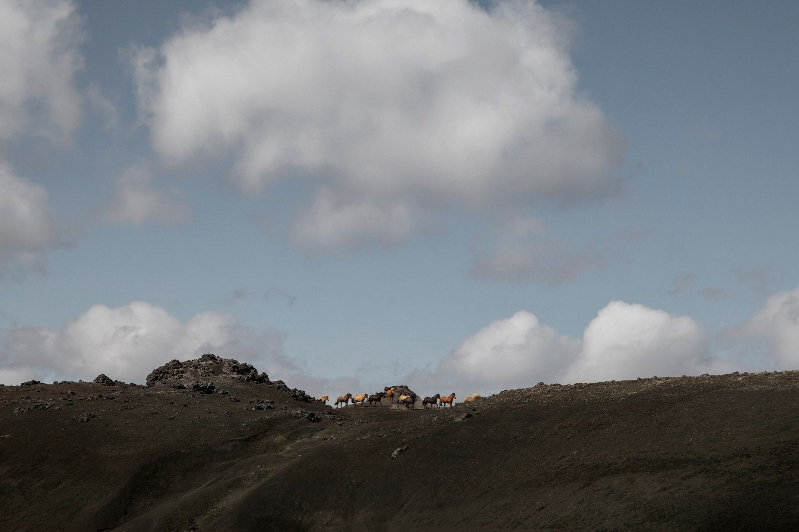 Susanne Walström, POKAHRYGGIR, 2024