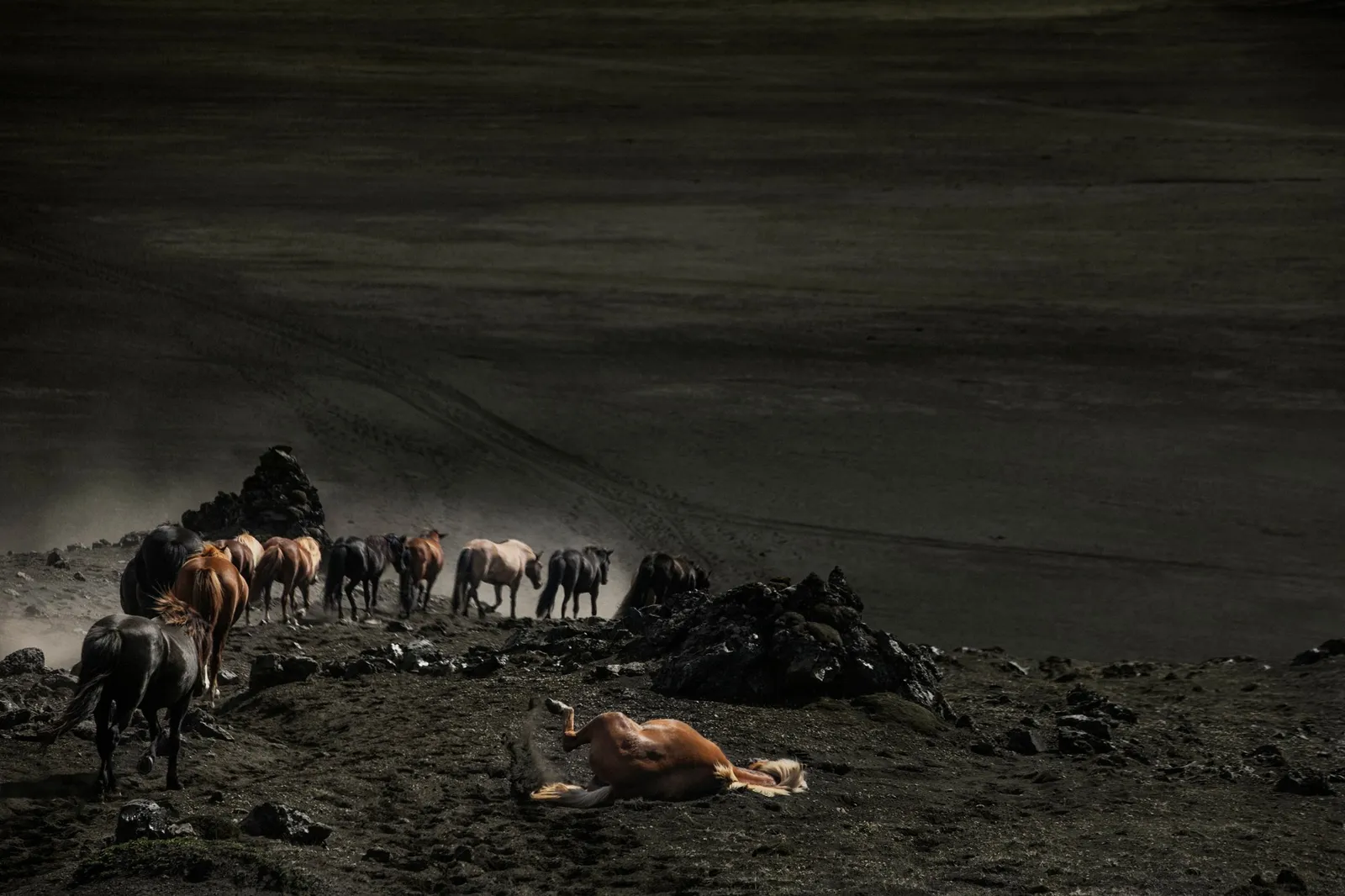 Susanne Walström, HUNGURFIT, 2024