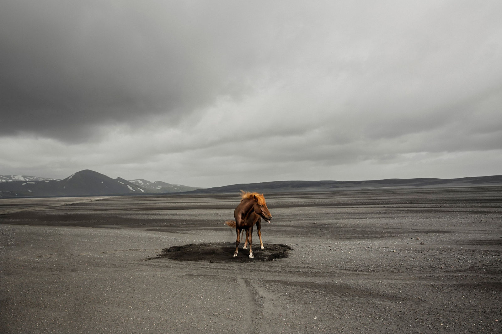 Susanne Walström, HVÍLA Í SVARTUR SANDUR, 2024