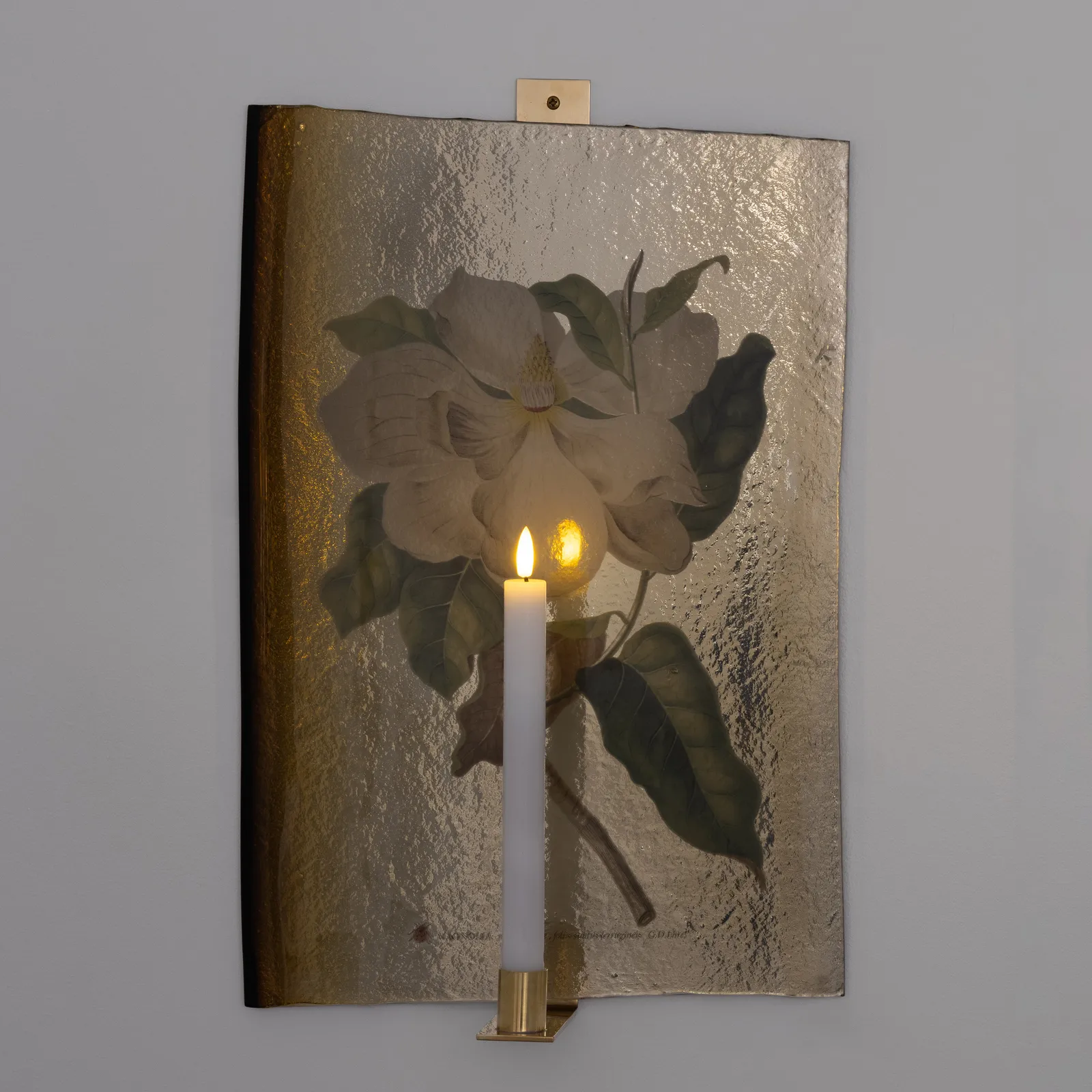 ULLA FORSELL, BOTANICA, MAGNOLIA MAXIMO FLORE, I, 2023