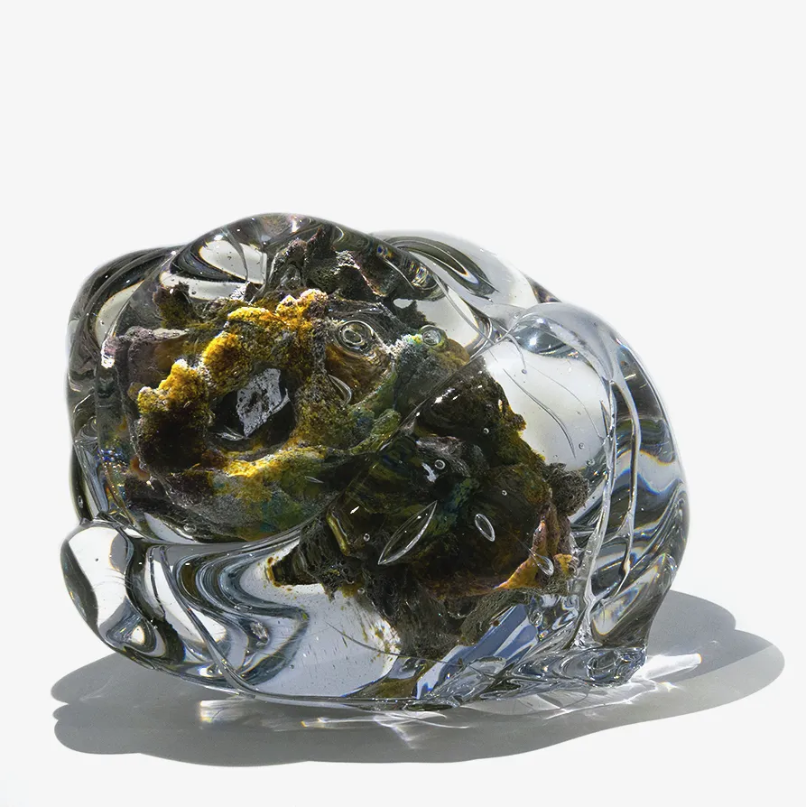 BARROLEVÉN, MOSSA, 2019