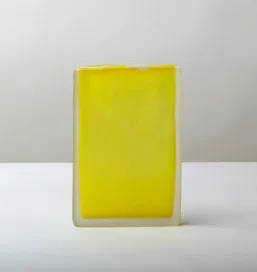 LAURA DE SANTILLANA, (IN 8.VO) NARCISSUS, 2018, 2018