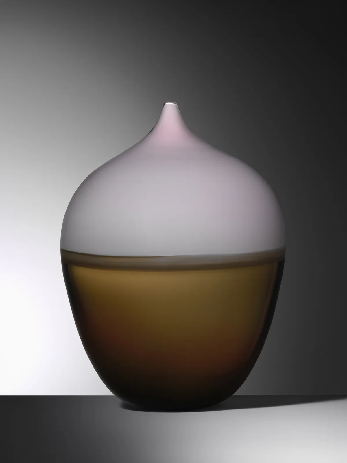 Gunnel Sahlin, CONIOCARPALES, 2019