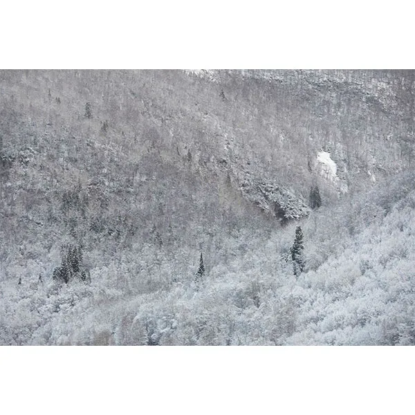 Karin Alfredsson, SNÖ OCH REGN SKALL PASSERA No. 8, 2020