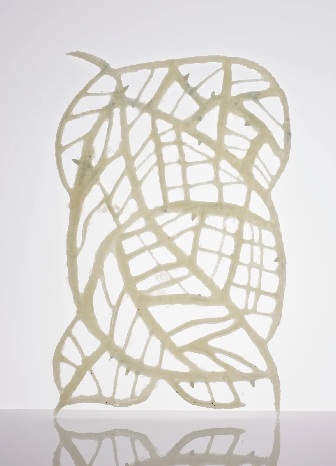 Kira Phoenix K´inan, Ice Drawing, I, 2017