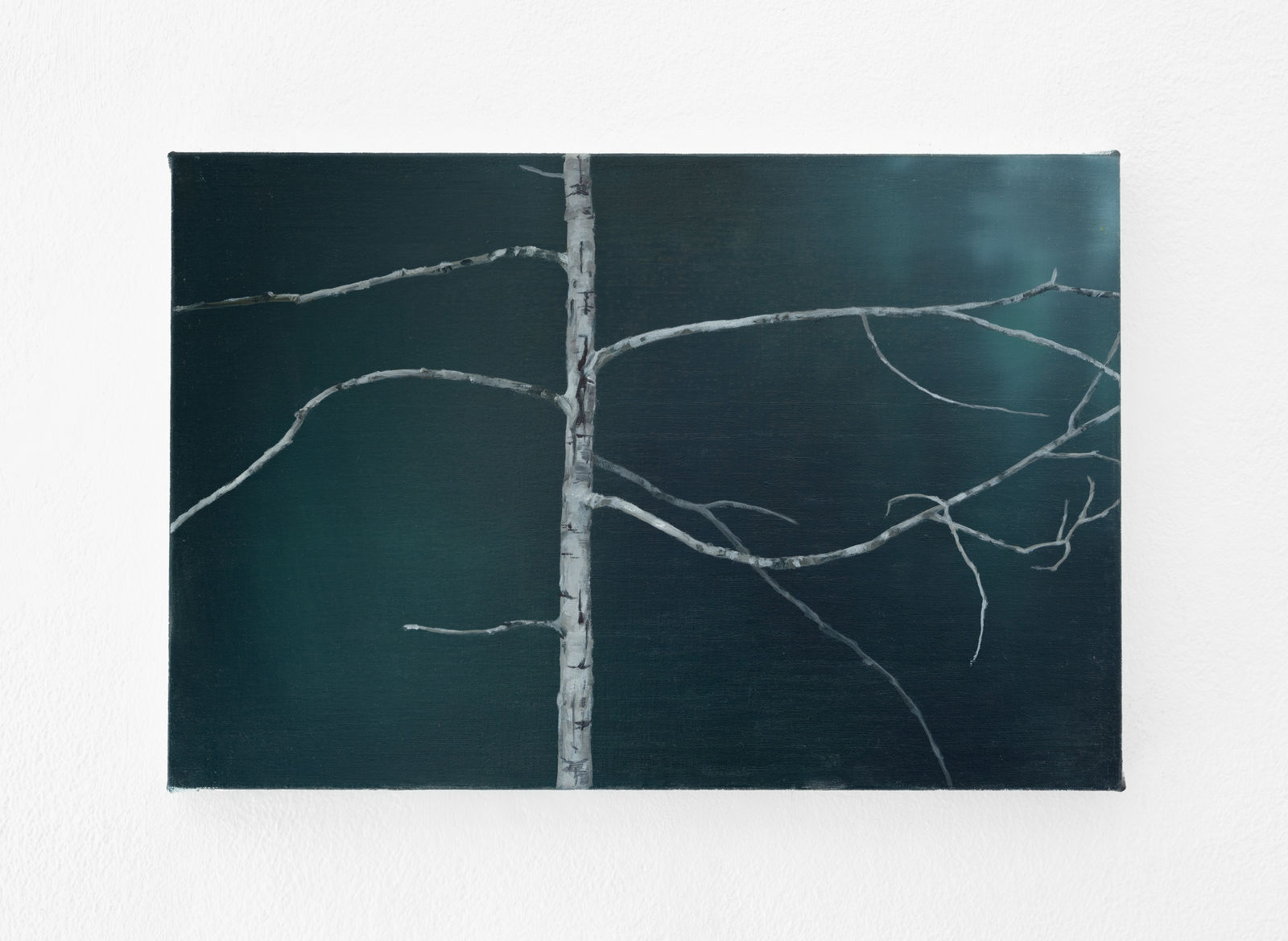 Tommy Hilding, Borealis #12, 2021