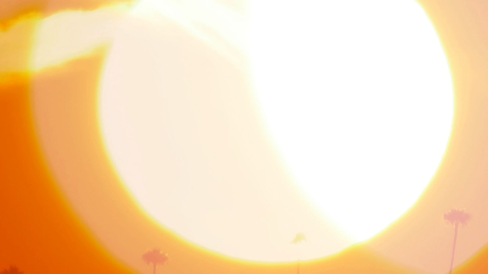 Petra Lindholm, Bystanders, 2020