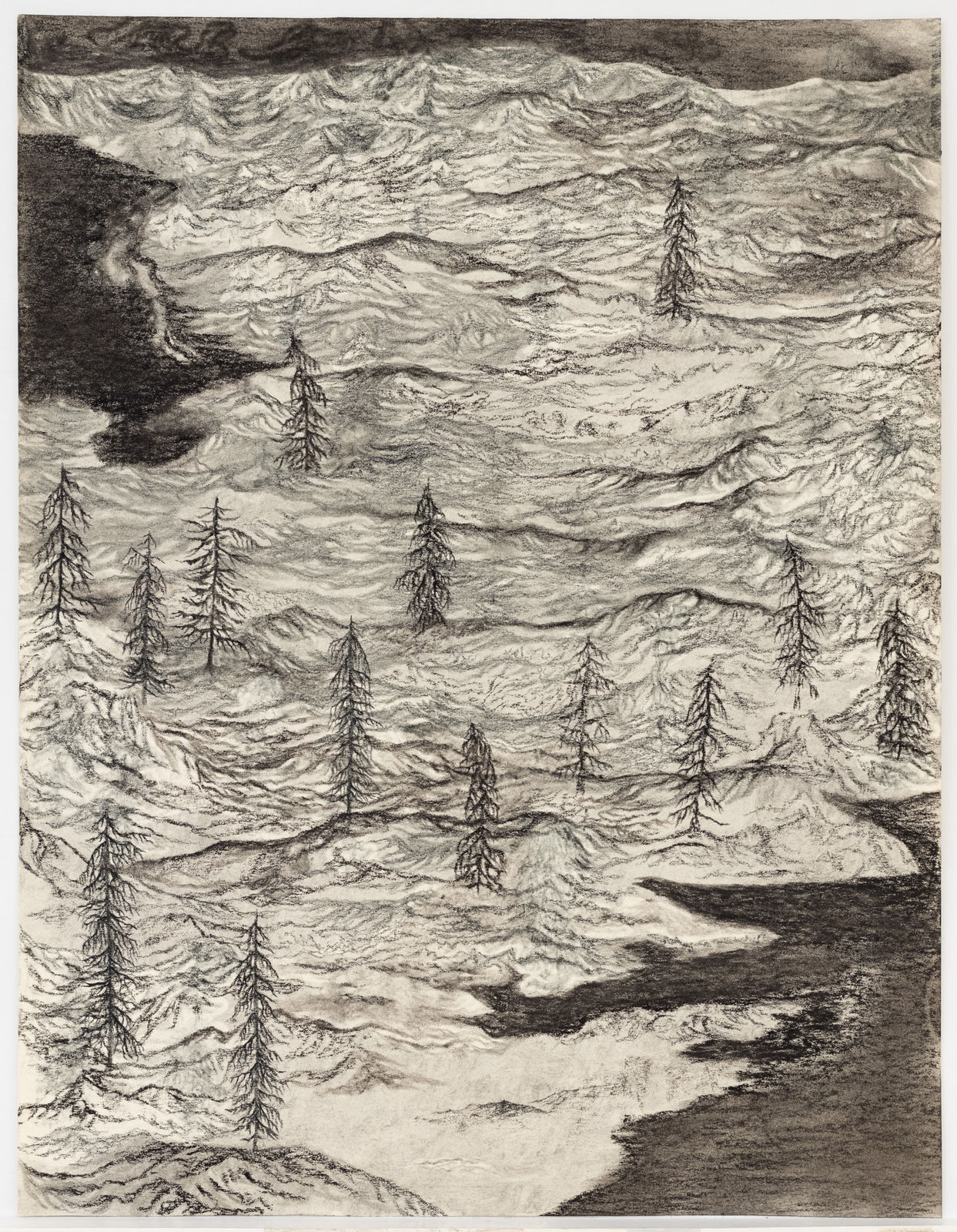 Jeff Olsson, Granar / Firs, 2023