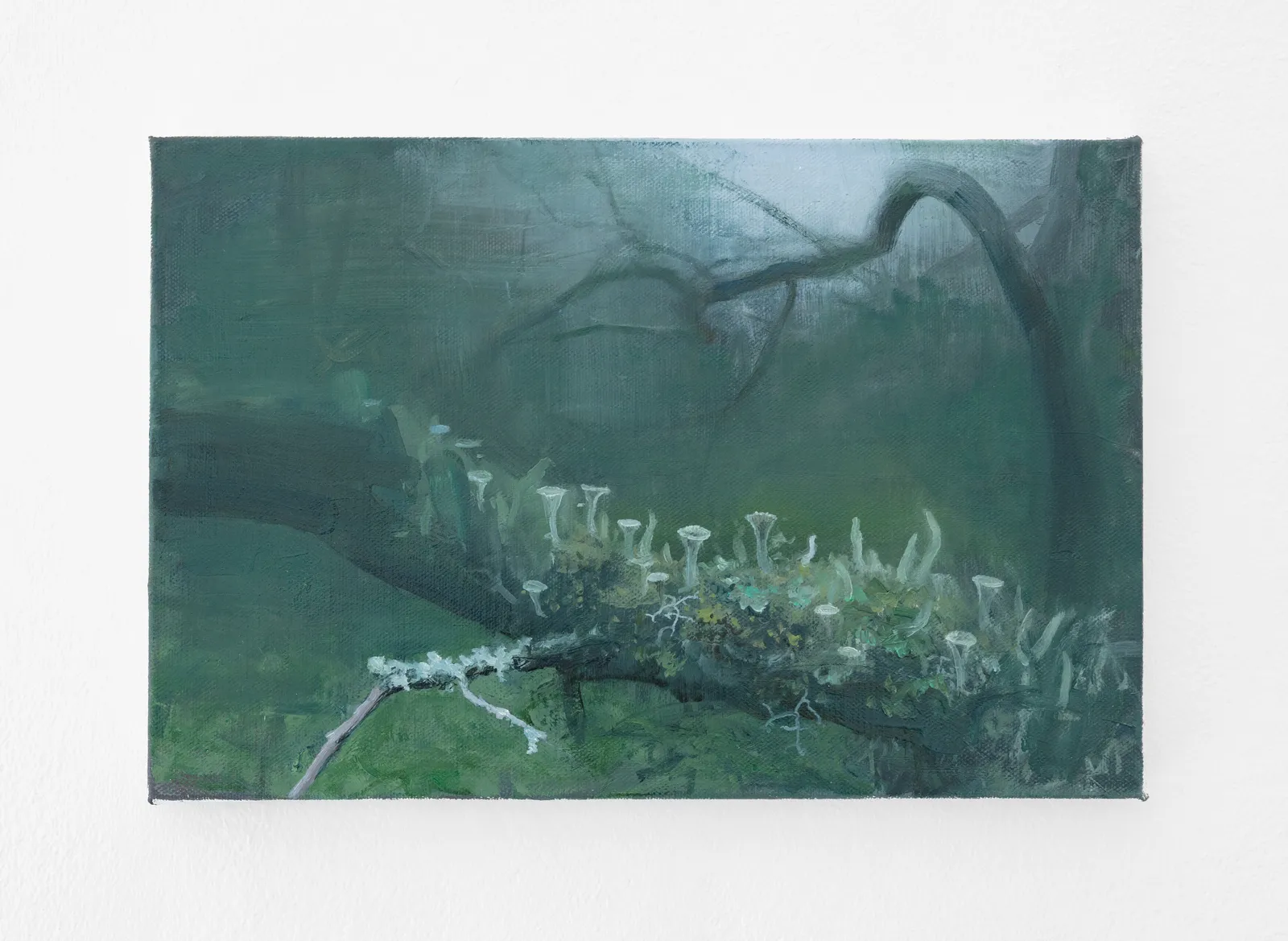 Tommy Hilding, Borealis #18, 2022