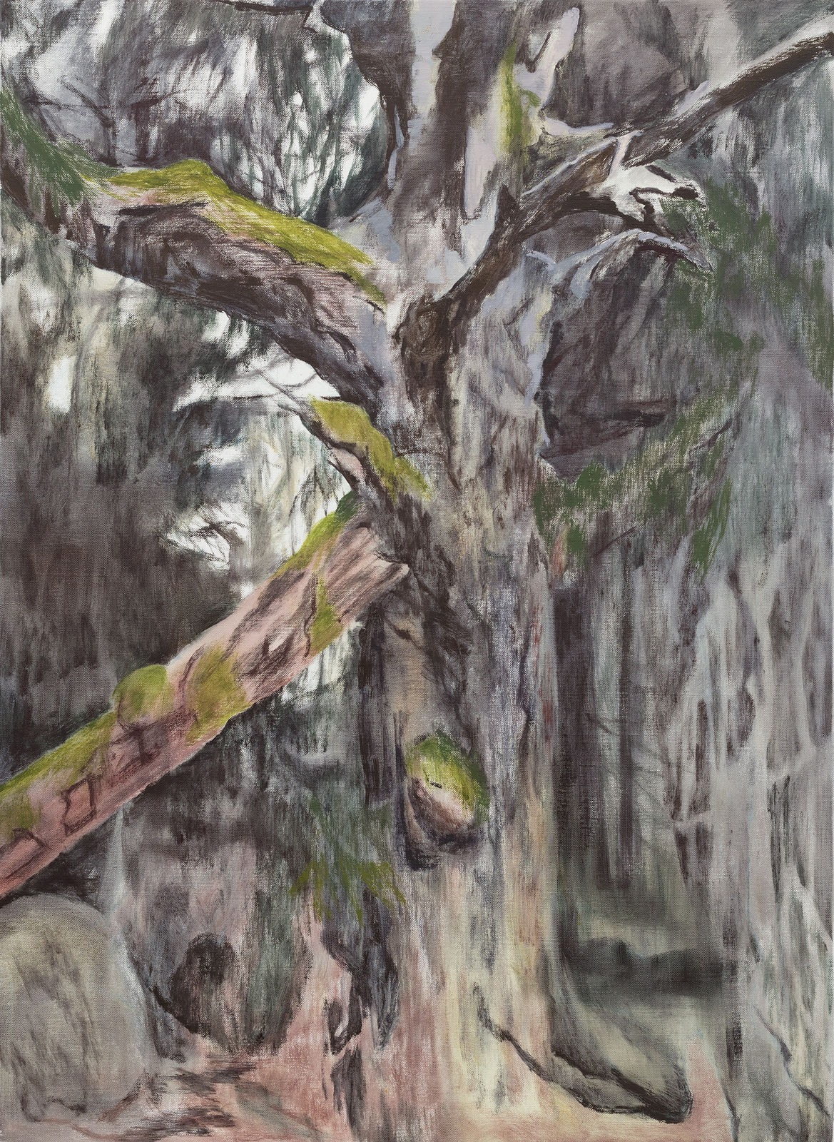 Susanne Johansson, Dödvedsbjörk / The Deadwood Birchtree, 2024