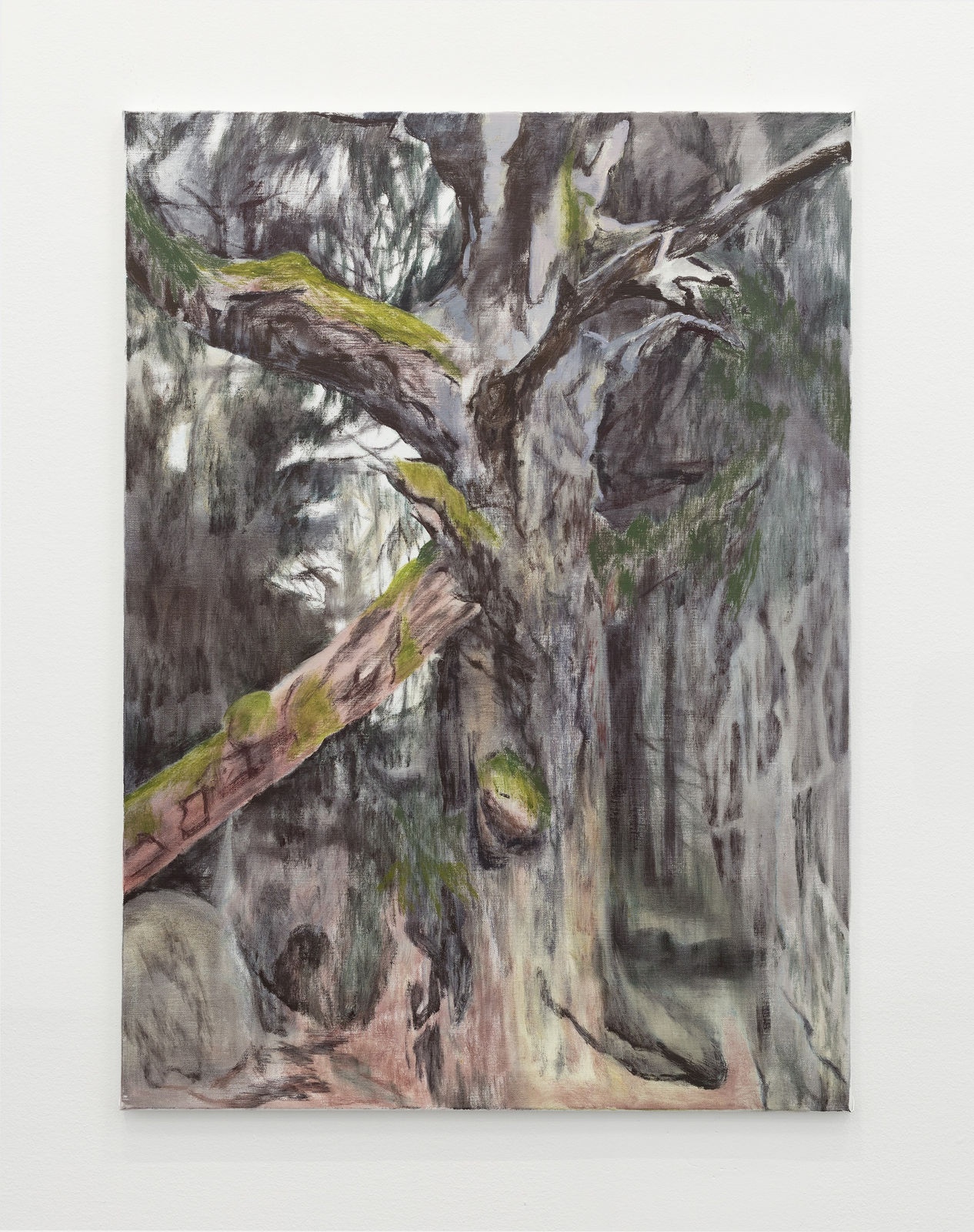 Susanne Johansson, Dödvedsbjörk / The Deadwood Birchtree, 2024