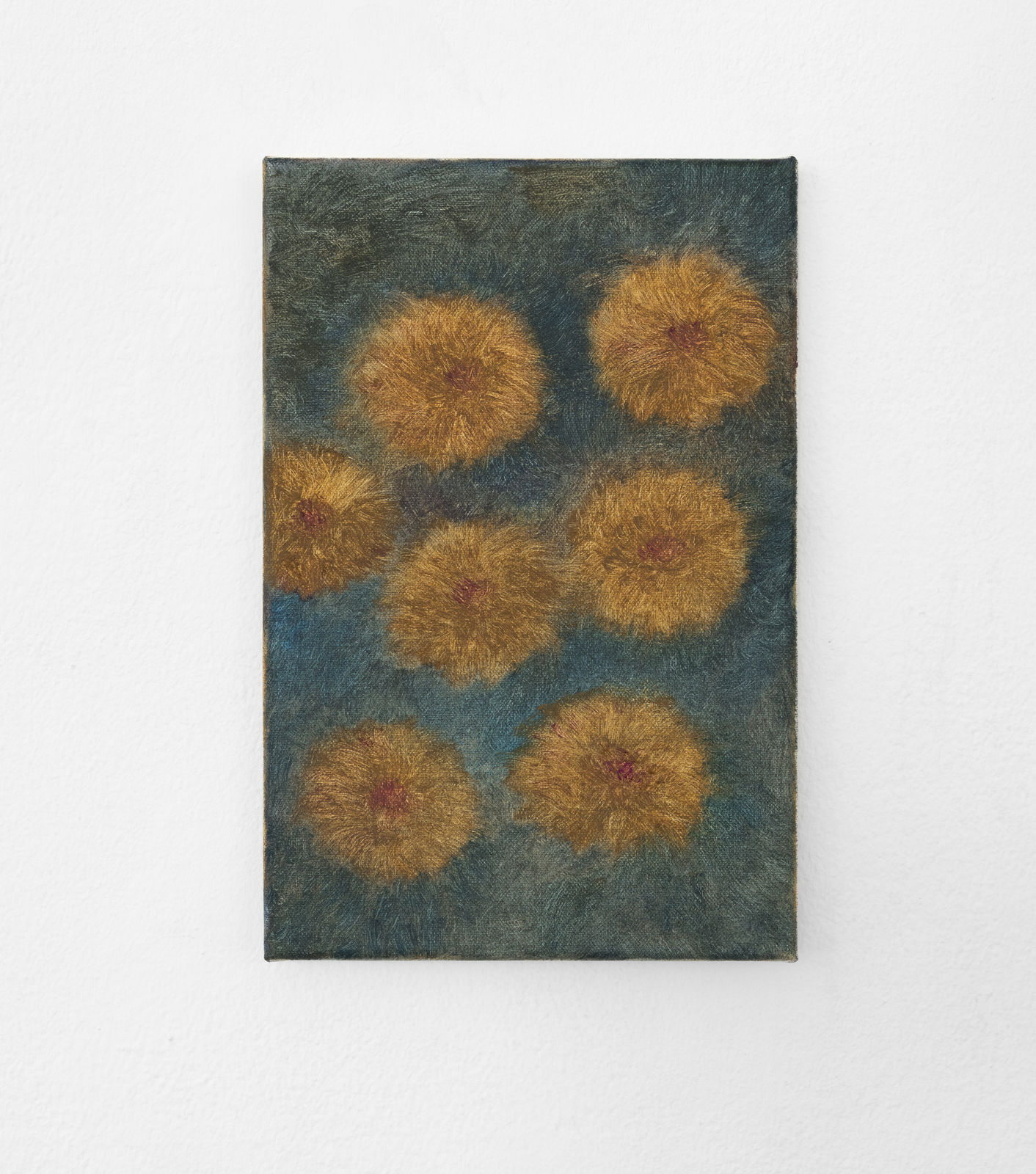 Clara Gesang-Gottowt, Eterneller / Everlasting Flowers, 2021