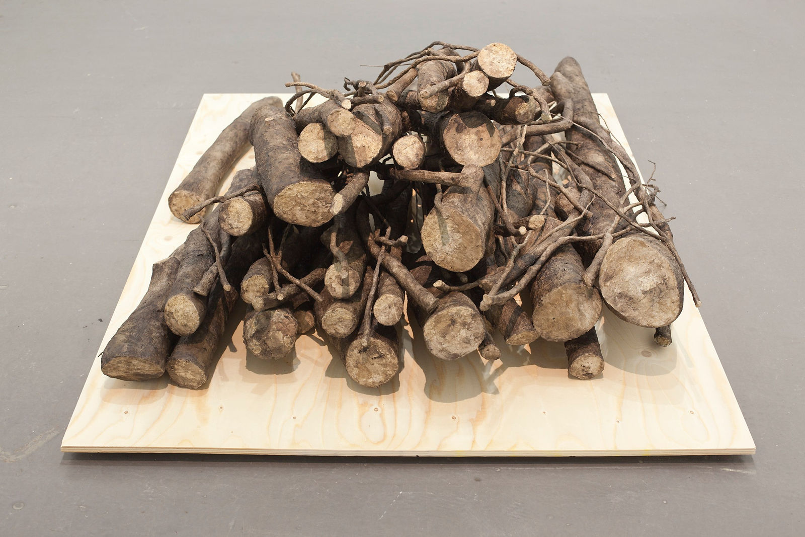 Johanna Karlsson, Sly / Brushwood, 2014