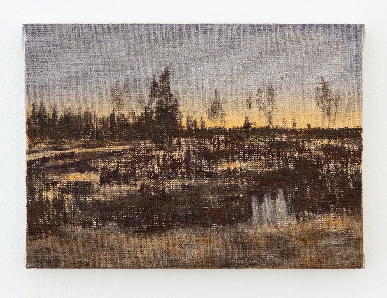 Susanne Johansson, Tidstecken (Kalhygge i skymningsljus) / Signs of Time (Clear-felling in Twillight), 2020