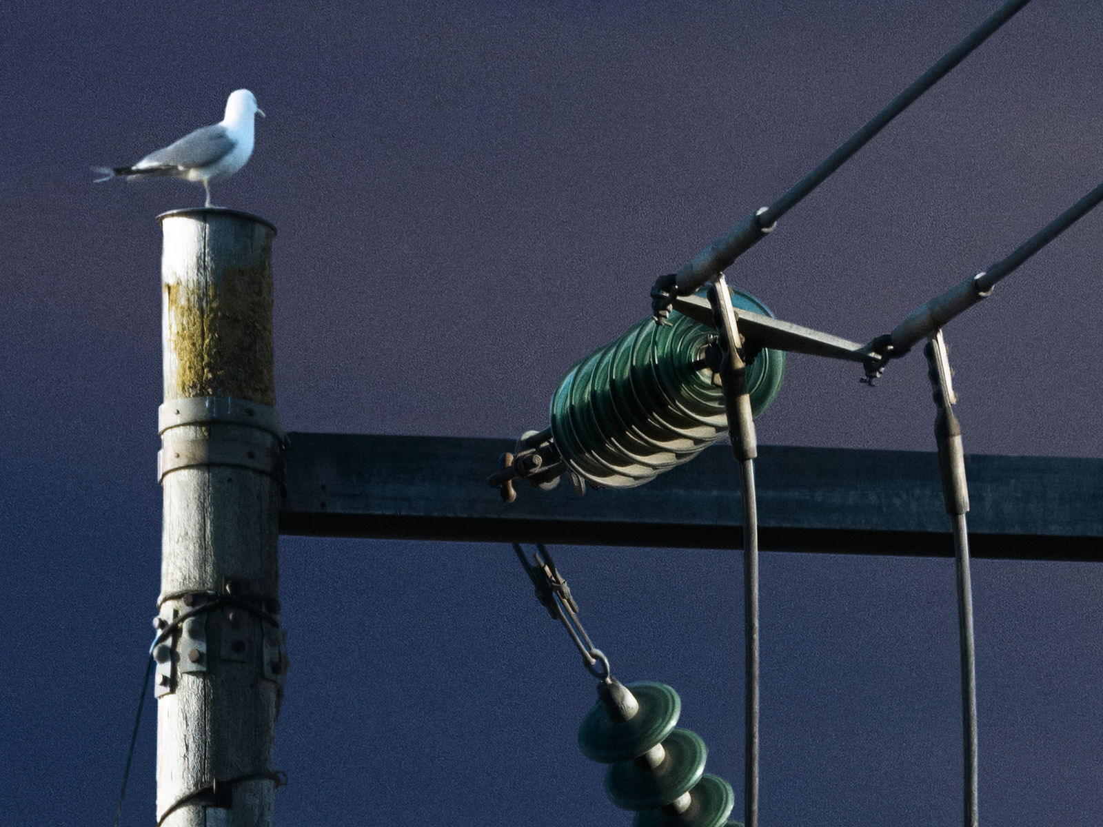 Ulf Lundin, Slite (May 12, 2022), 2023