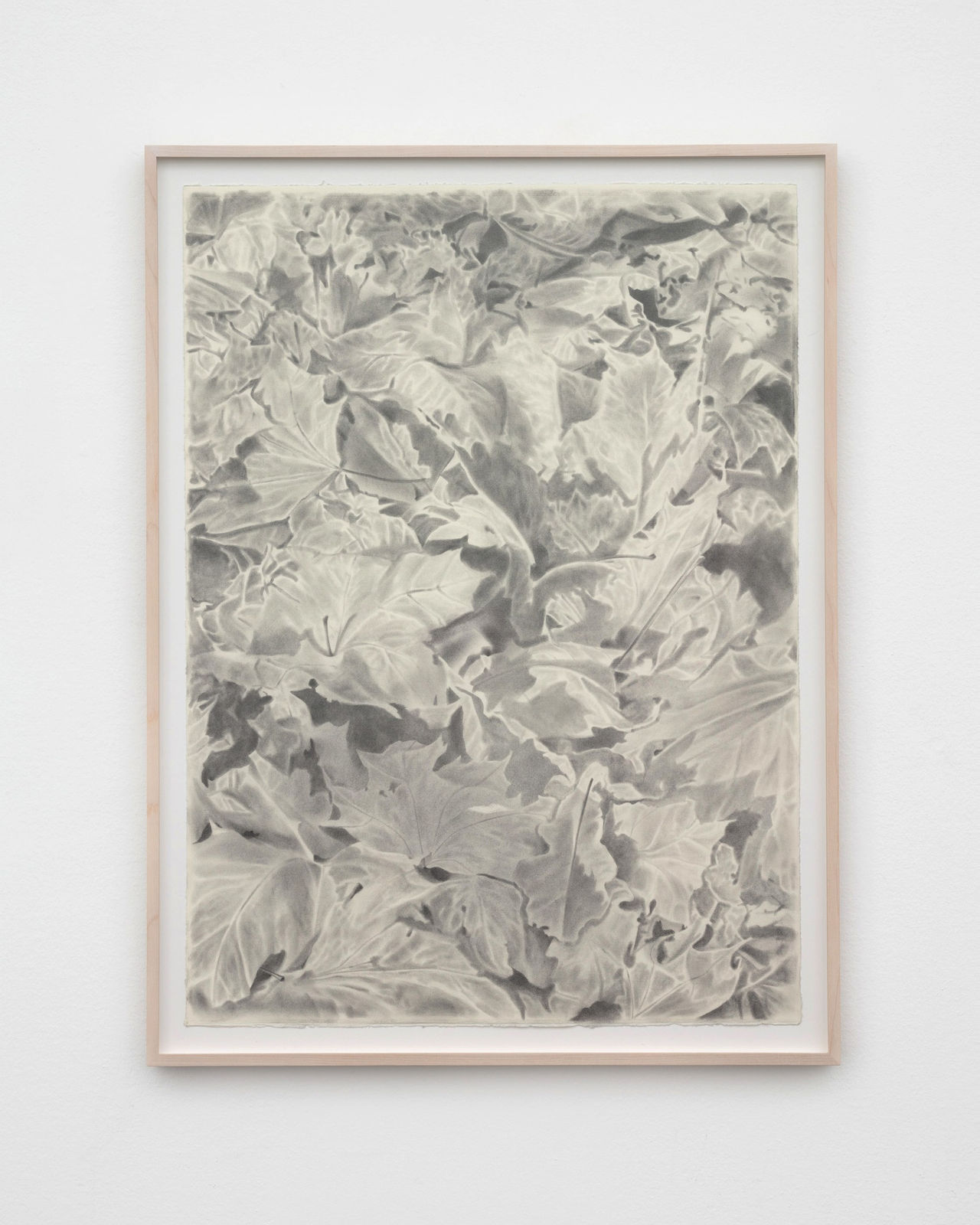 Carl Hammoud, Autumn Leaves, 2025