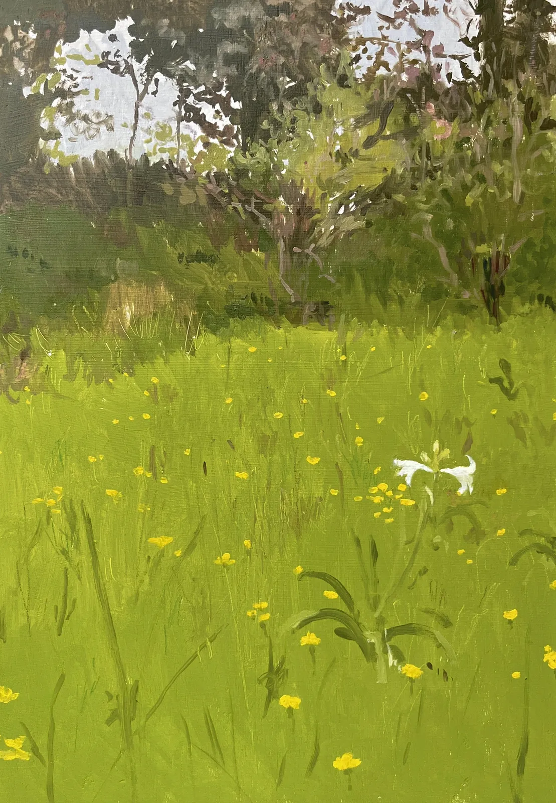 Alejandro Sintura, Guasca, 2024