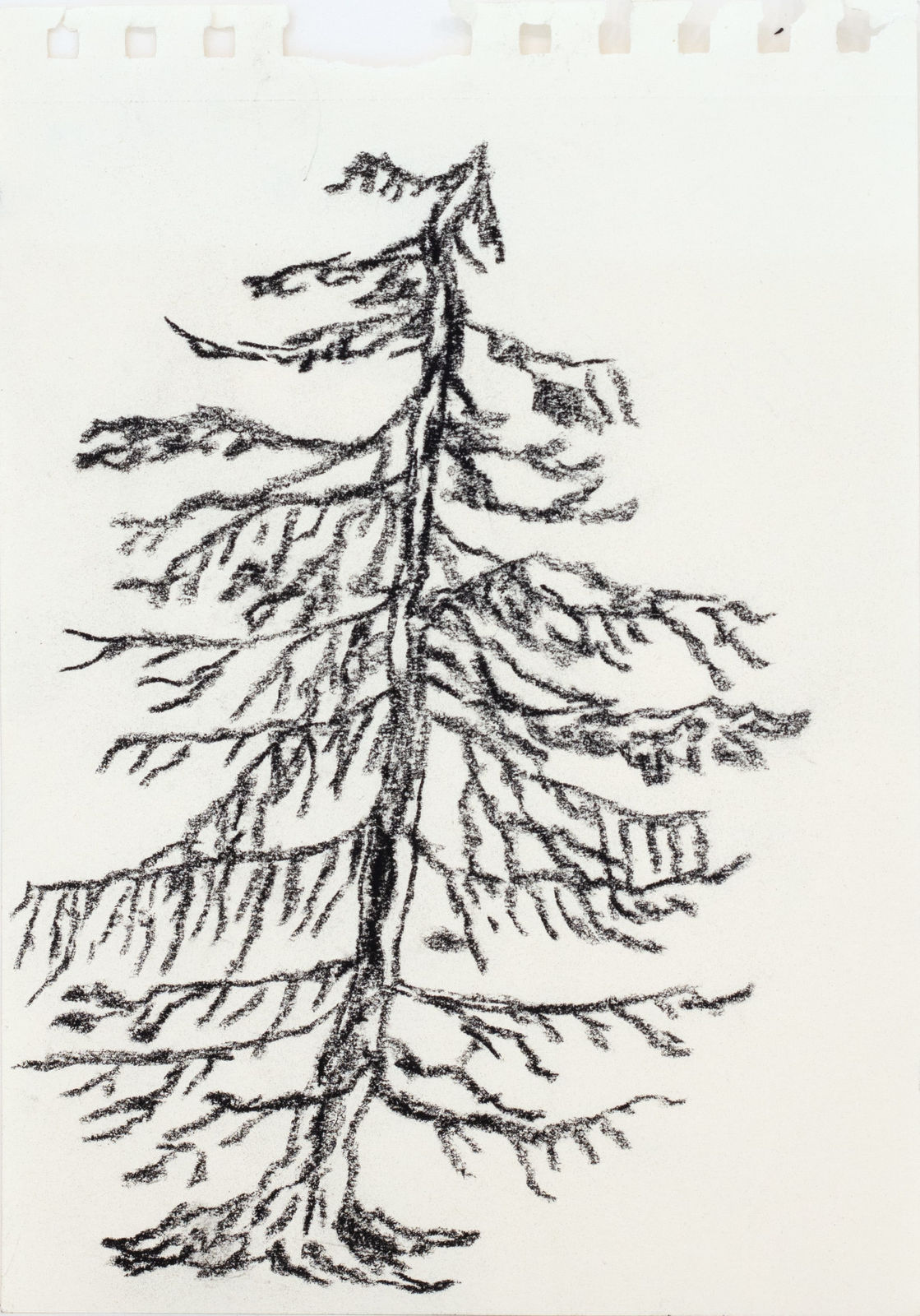 Jeff Olsson, 1000 år I / 1 000 Years I, 2025