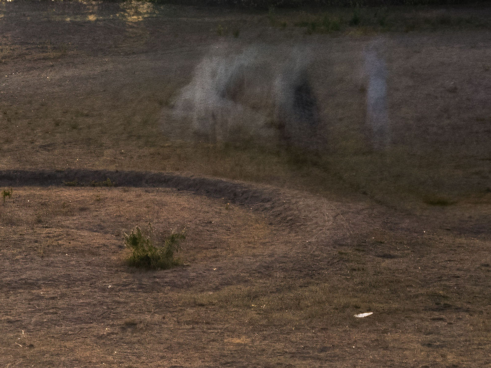 Ulf Lundin, Hawaiihôla (June 26, 2020), 2023