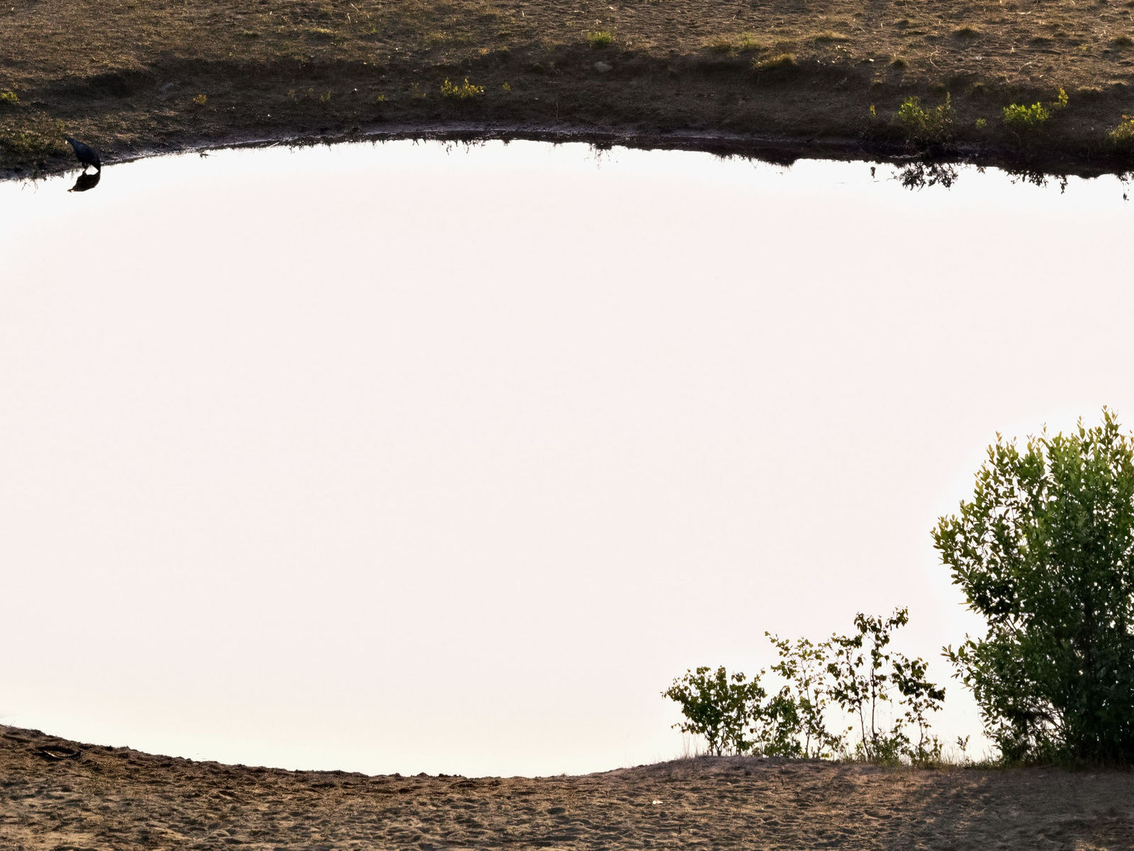 Ulf Lundin, Hawaiihôla (June 26, 2020), 2023