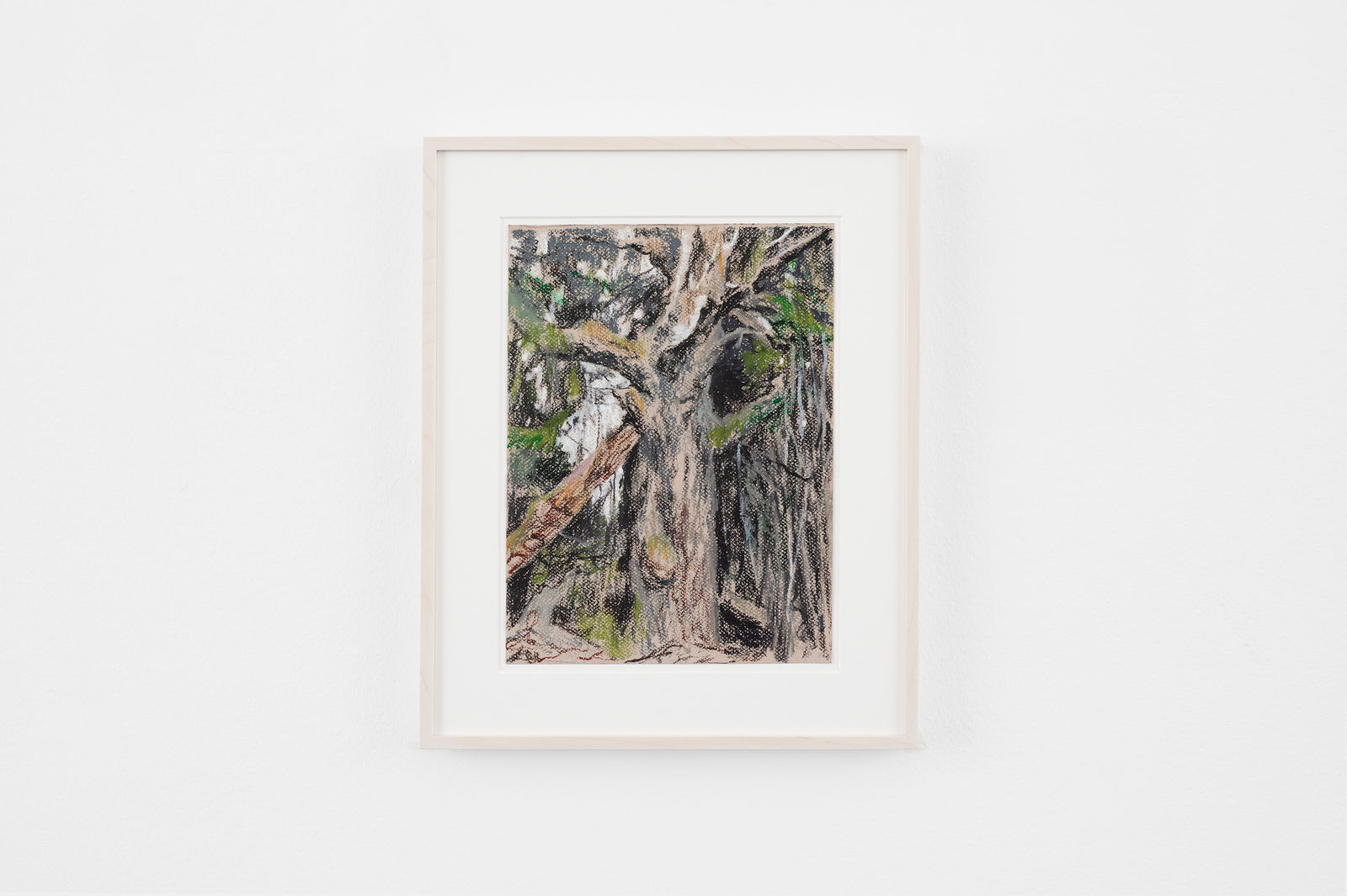 Susanne Johansson, The Deadwood Birchtree, 2024