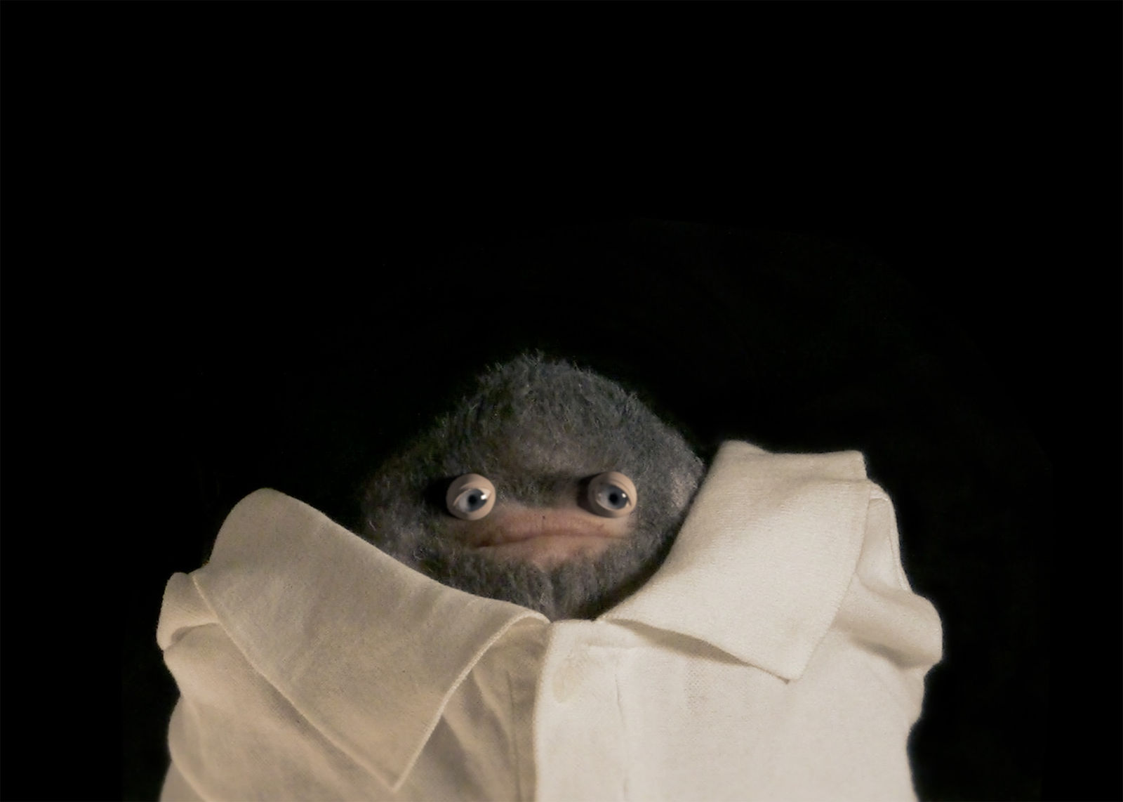 Lars Arrhenius, THE EXQUISITE CORPS ORCHESTRA, 2010