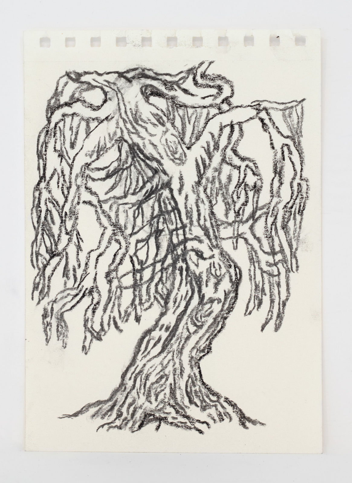 Jeff Olsson, 1000 år II / 1 000 Years II, 2025