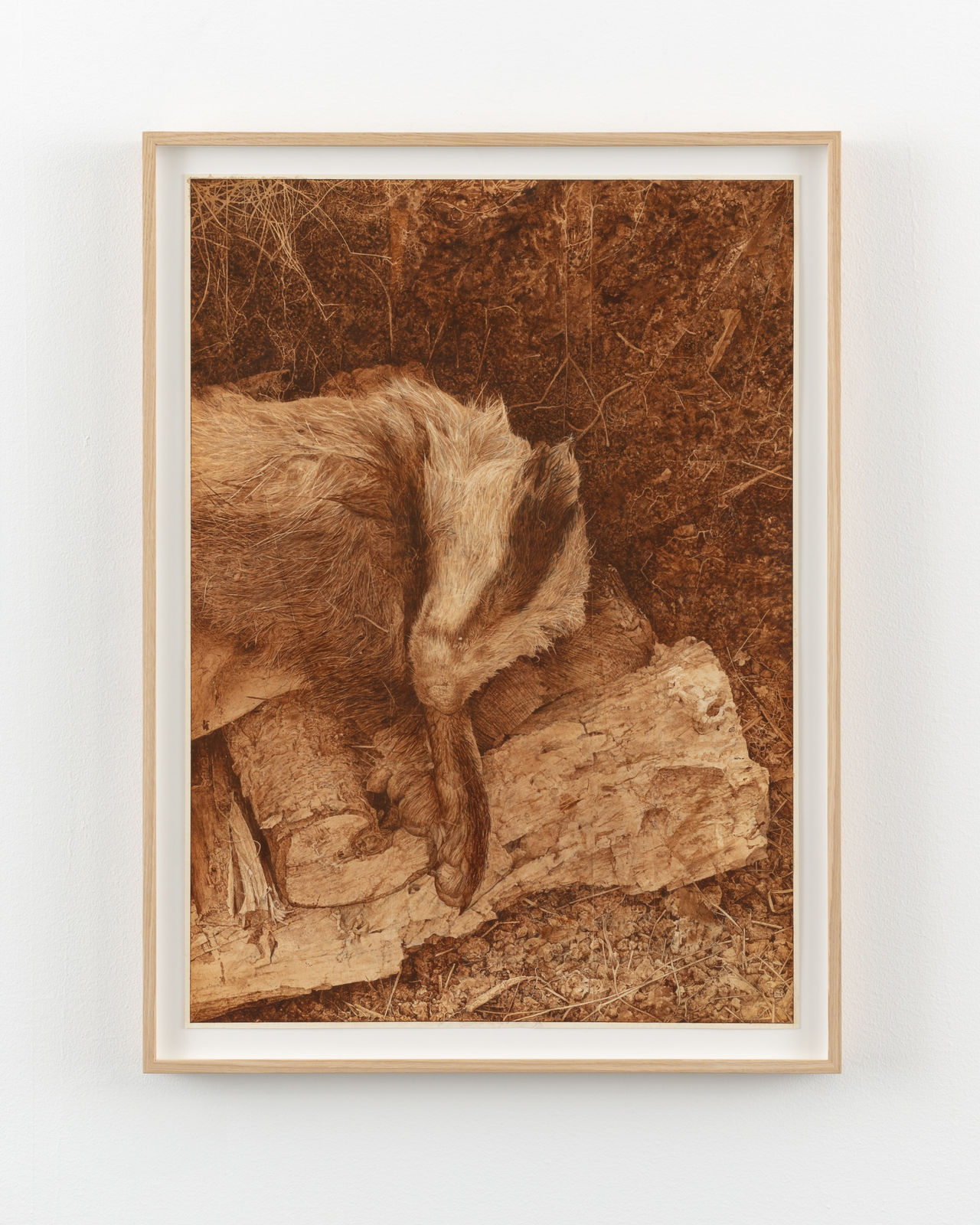 Roger Andersson, Cursed Sleep IV, 2025