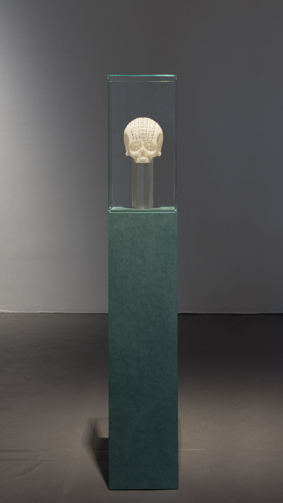 Thomas Broomé, Skull, 2023
