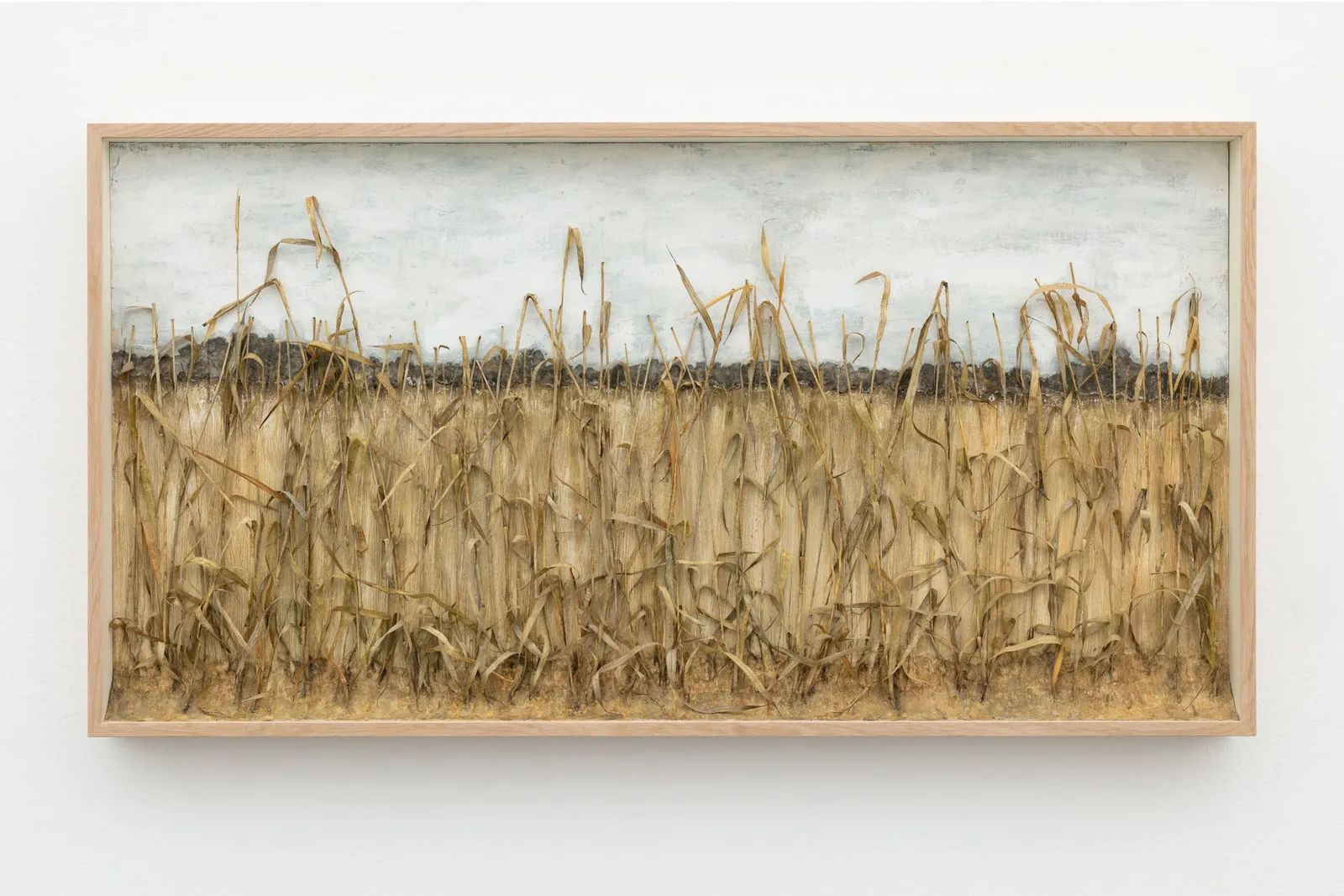 Johanna Karlsson, Passage XI, 2025