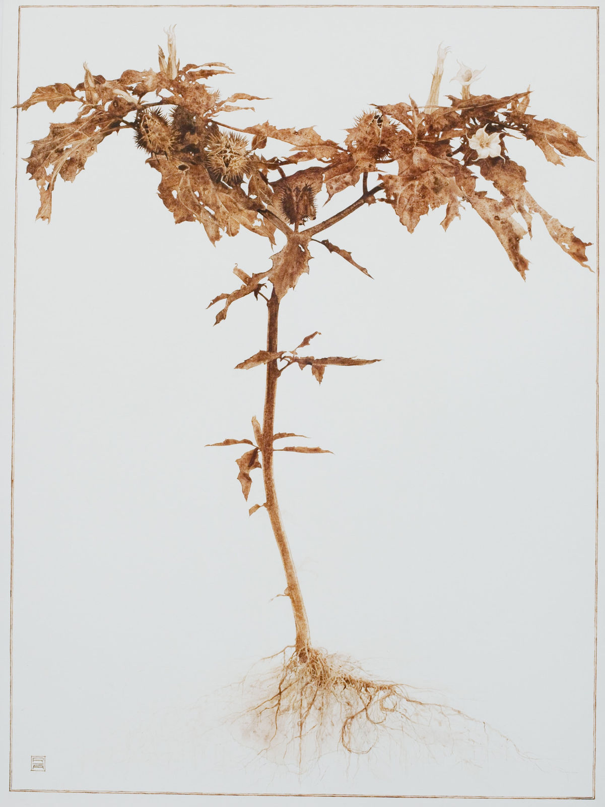 Roger Andersson, Slaves by Choice XII, 2012